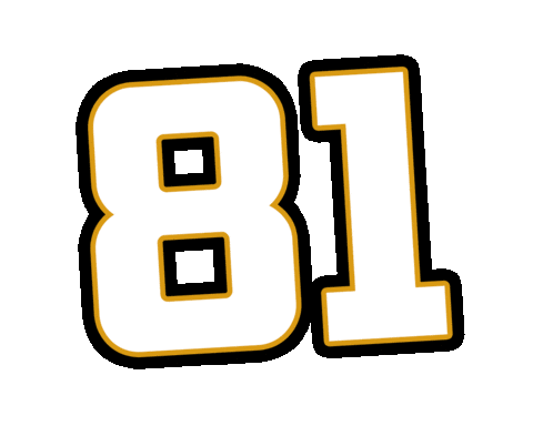 Sport Hockey Sticker