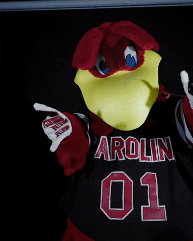 Mascot Spurs GIF by University of South Carolina