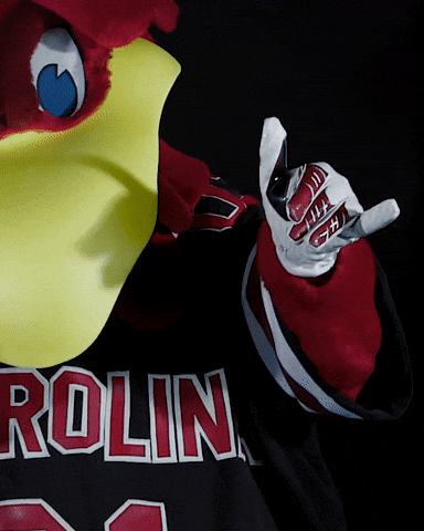 Mascot Spurs GIF by University of South Carolina