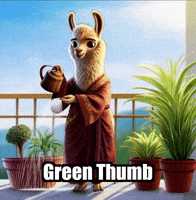 Plants Gardening GIF by dalaillamazen