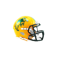College Football Sticker by Riddell Sports