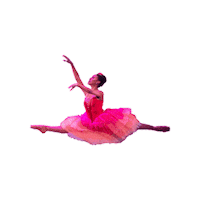 Waltz Of The Flowers Ballerina Sticker by Ballet Austin