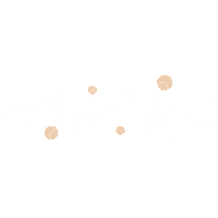 Will Lee Sticker by Dreams Salon