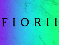 GIF by FIORII
