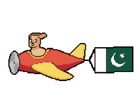 Flag Pakistan Sticker by Abstract HotDogs