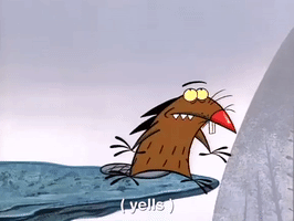 nickrewind nicksplat angry beavers GIF