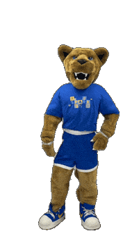 New York Hofstrau Sticker by Hofstra University