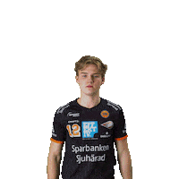 Basketball Noel Sticker by Borås Basket