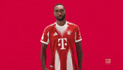 Fc Bayern Yes GIF by Bundesliga