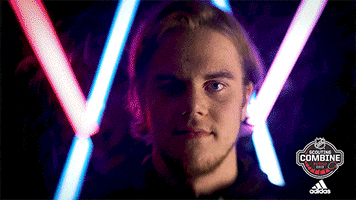 ice hockey sport GIF by NHL