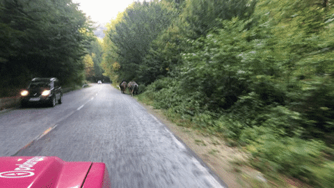 Drive By Greece GIF by Polarsteps
