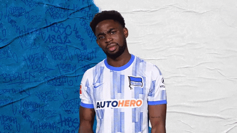 Bundesliga Berlin GIF by Hertha BSC