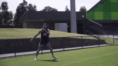 carlton fc celebration GIF by Carlton Football Club