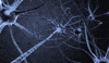 Brain Neuron GIF by Harvard University