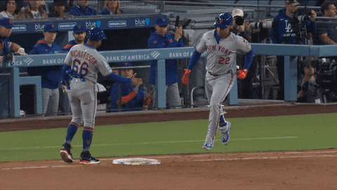 Celebrate Home Run GIF by New York Mets