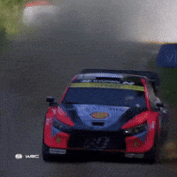 Motorsport Driving GIF by FIA World Rally Championship