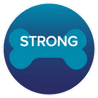 Osteomonth Sticker by Hologic
