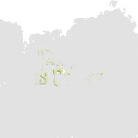 April 15 Lightning GIF by INTO ACTION