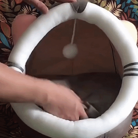 KittyNook giphyupload GIF