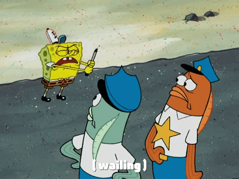 season 4 GIF by SpongeBob SquarePants