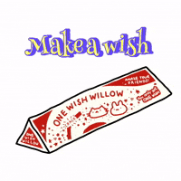 Make A Wish Cat GIF