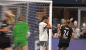 Seattlereign GIF by National Women's Soccer League