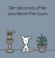 Lonely I Love You GIF by Chippy the Dog