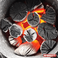McBrikett bbq grillen glut mcbrikett GIF