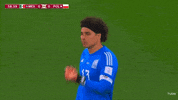 Soccer GIF by MiSelecciónMX