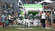football athletics GIF by GreenWave