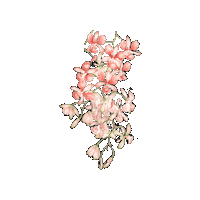 Flores Pink Flowers Sticker