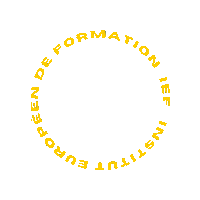 IEFstrasbourg  Sticker
