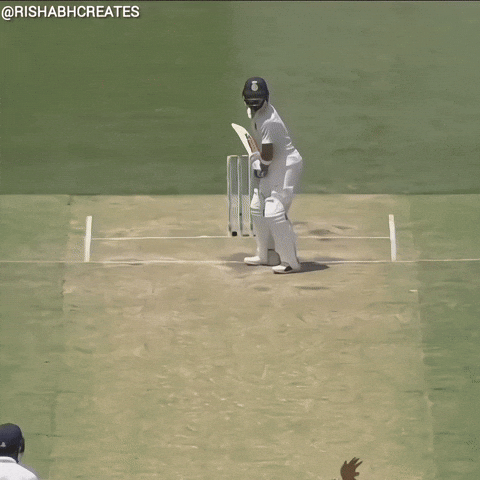 Virat Kohli GIF