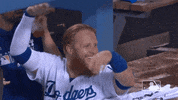 Regular Season Sport GIF by MLB
