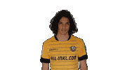 Swipe Celebrate Sticker by SG Dynamo Dresden