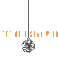 Happy New Year Spinning Sticker by Wildflora LA