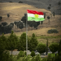 Flag Al GIF