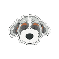 Bernedco happy dog face sweet Sticker