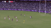 freodockers freodockers freohighlights aflfreosaints GIF