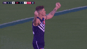 freodockers freodockers freohighlights aflfreosaints GIF