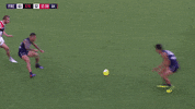 freohighlights aflfreosaints GIF by Fremantle Dockers