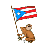 Puerto Rico Cultura Sticker by Esculpiendo Pensamiento