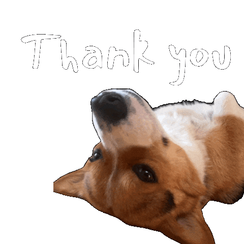 Thanks Corgi Sticker