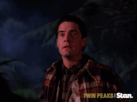 twin peaks GIF by Stan.