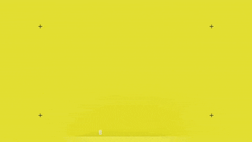 bbb bitf GIF by Ball in the Family