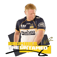 Bo Abra Sticker by BrumbiesRugby