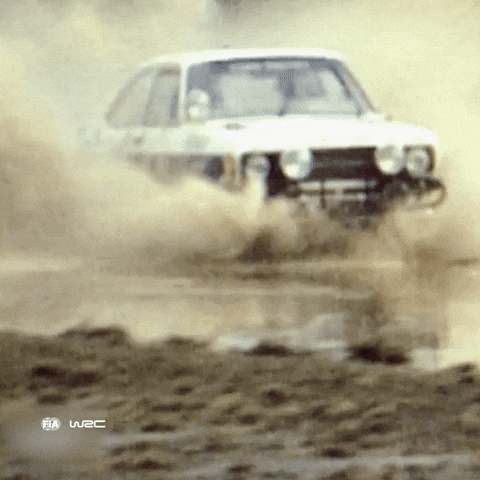 Motorsport Splash GIF by FIA World Rally Championship