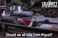 Imacelebrityau GIF by I'm A Celebrity... Get Me Out Of Here! Australia