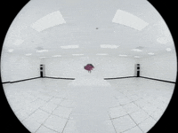 Shirley Manson Rose GIF by Garbage