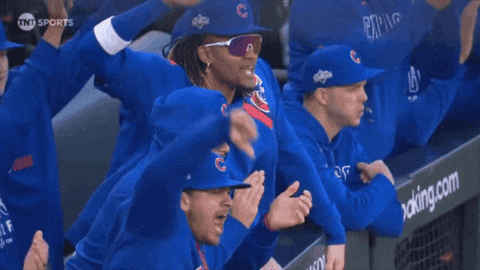 Chicago Cubs Baseball GIF by MLB